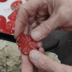 Atelier de création de bijoux Coquelicots